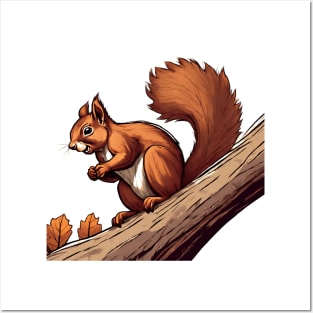 squirrel holding a nut Posters and Art